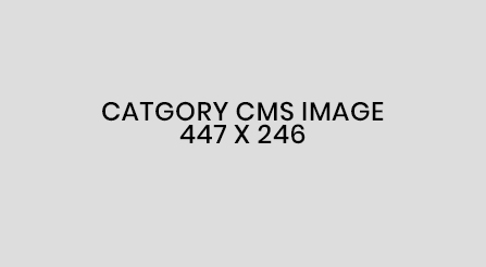 cat-3